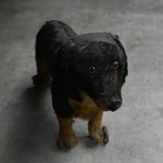 Antiques Stuffed "Dachshund"｛RB-00815｝