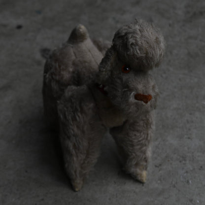 Antiques Stuffed "Poodle"｛RB-00813｝