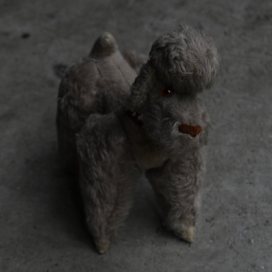 Antiques Stuffed "Poodle"｛RB-00813｝