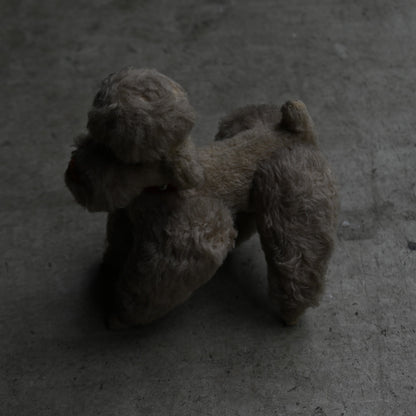 Antiques Stuffed "Poodle"｛RB-00813｝