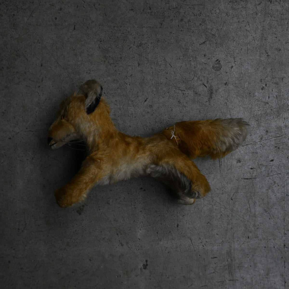 Antiques Stuffed "Fox"｛RB-00814｝