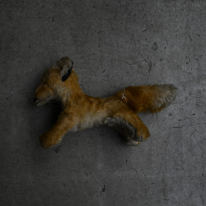 Antiques Stuffed "Fox"｛RB-00814｝