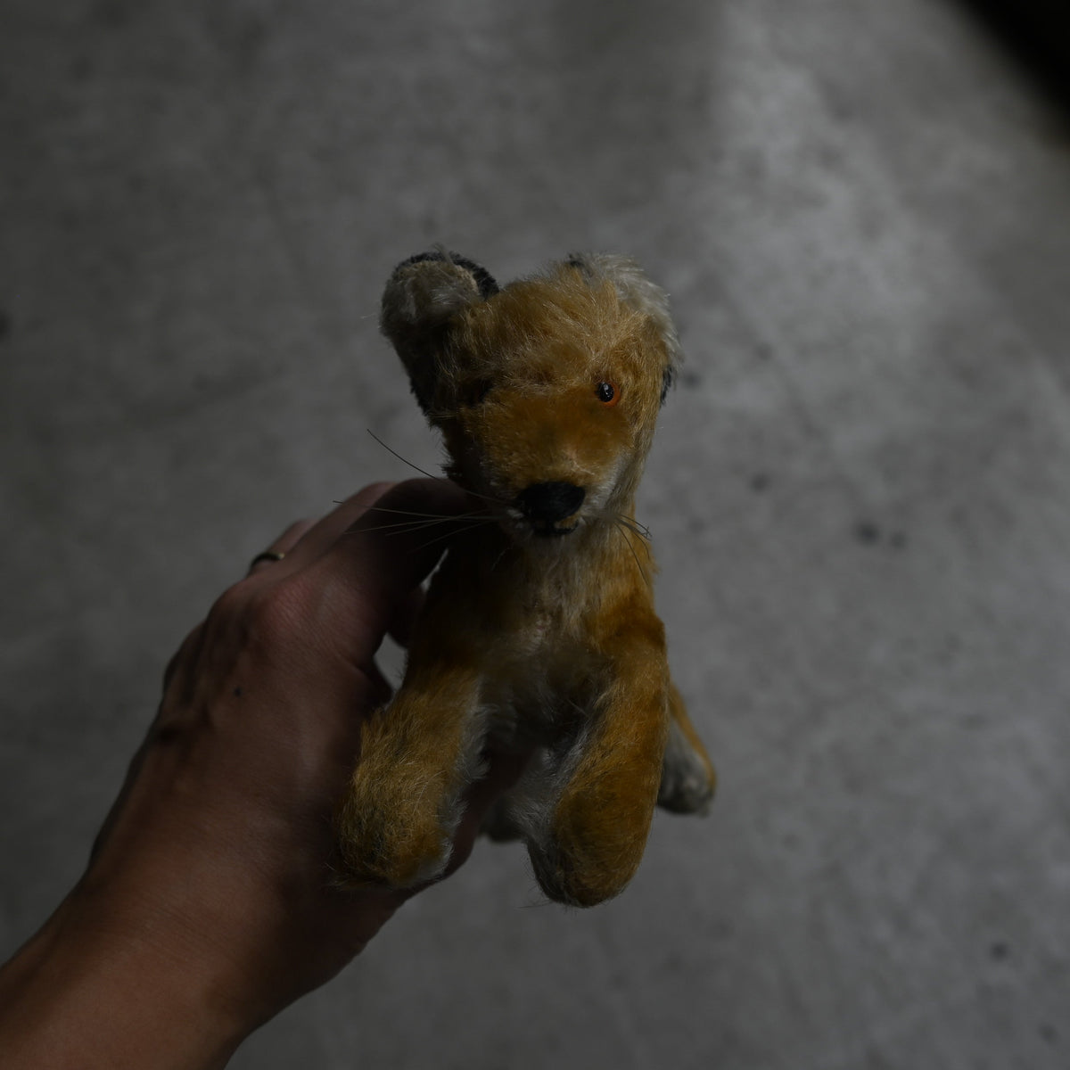 Antiques Stuffed "Fox"｛RB-00814｝