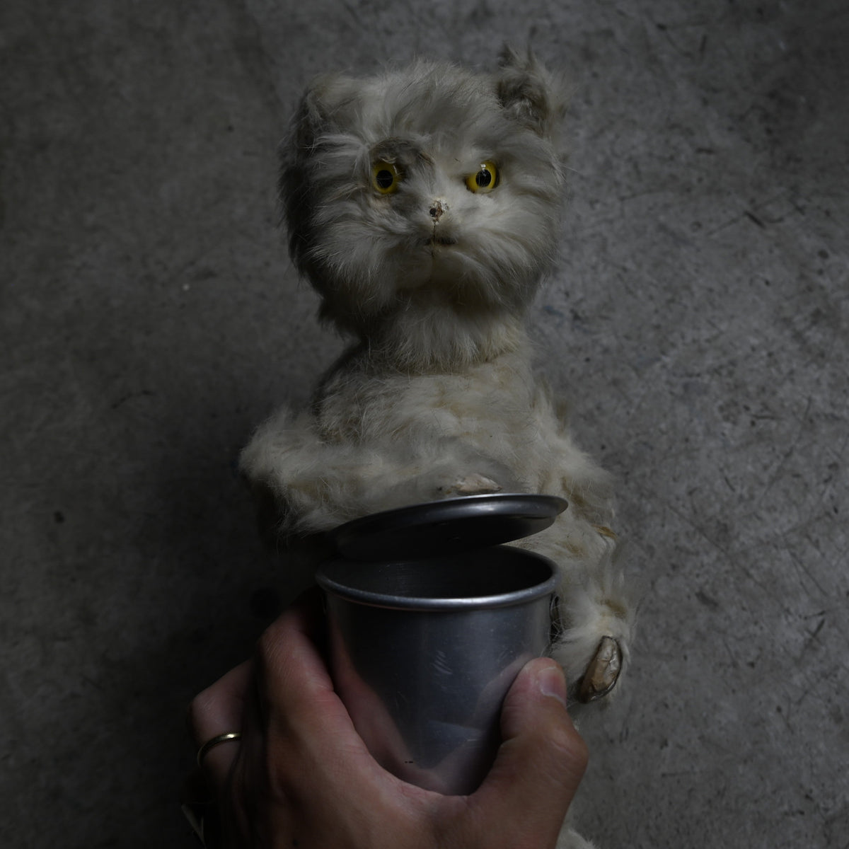 Antiques Stuffed "Cat "｛RB-00818｝