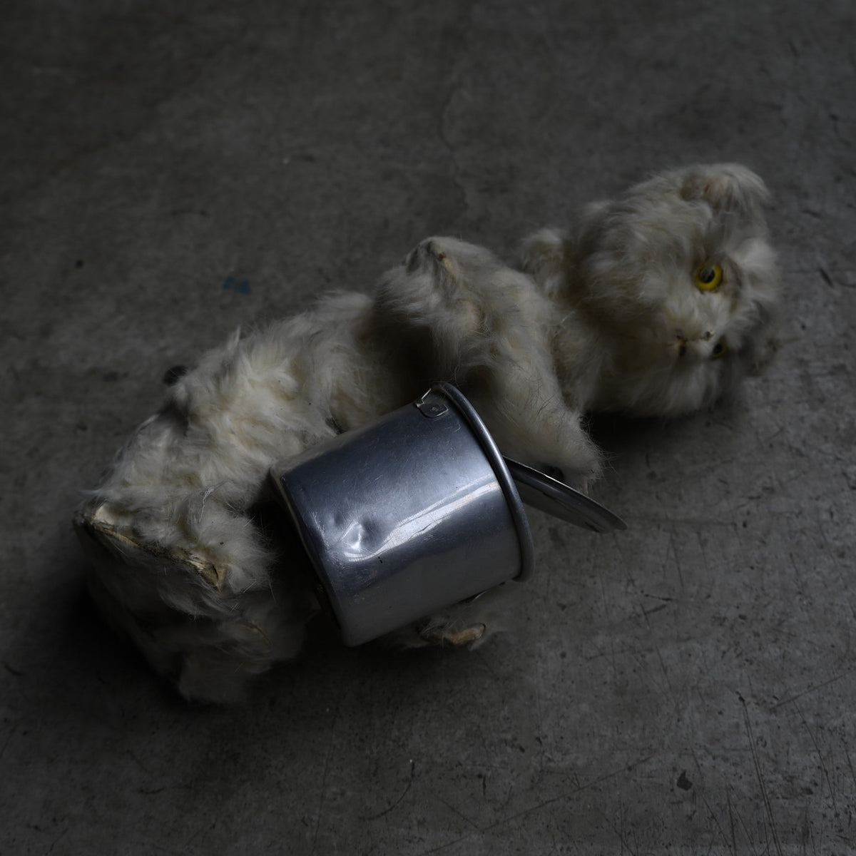 Antiques Stuffed "Cat "｛RB-00818｝