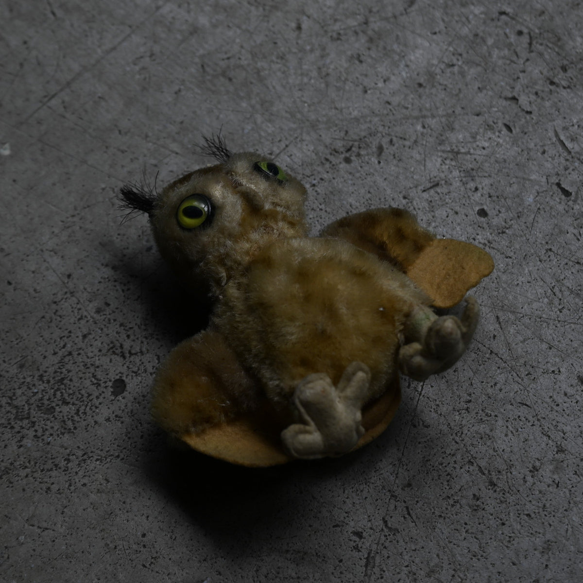Antiques Stuffed "Owl"｛RB-00817｝