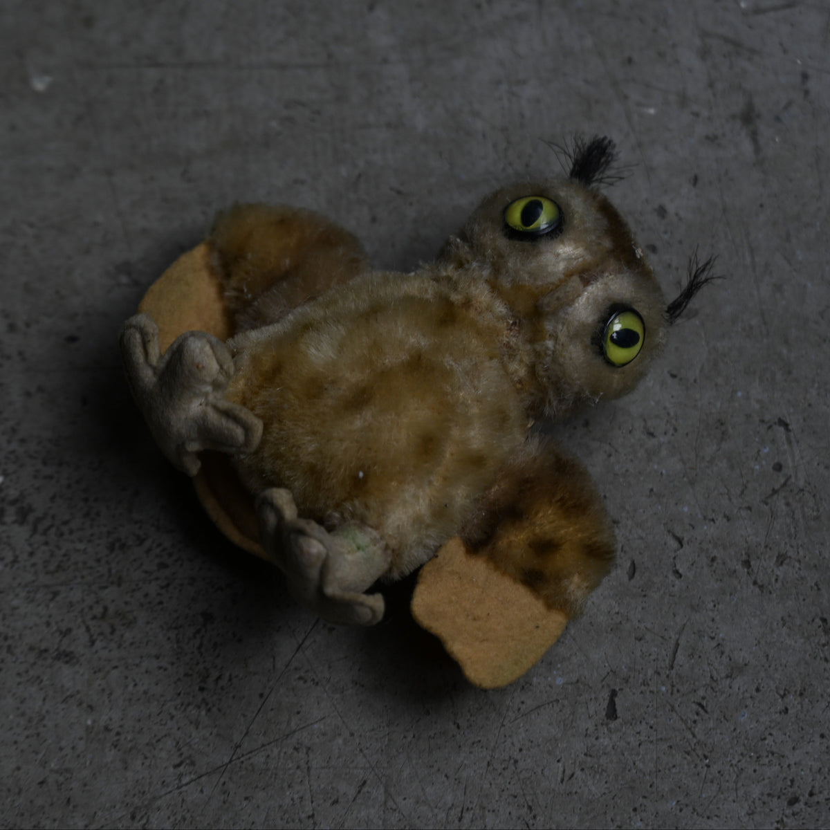Antiques Stuffed "Owl"｛RB-00817｝