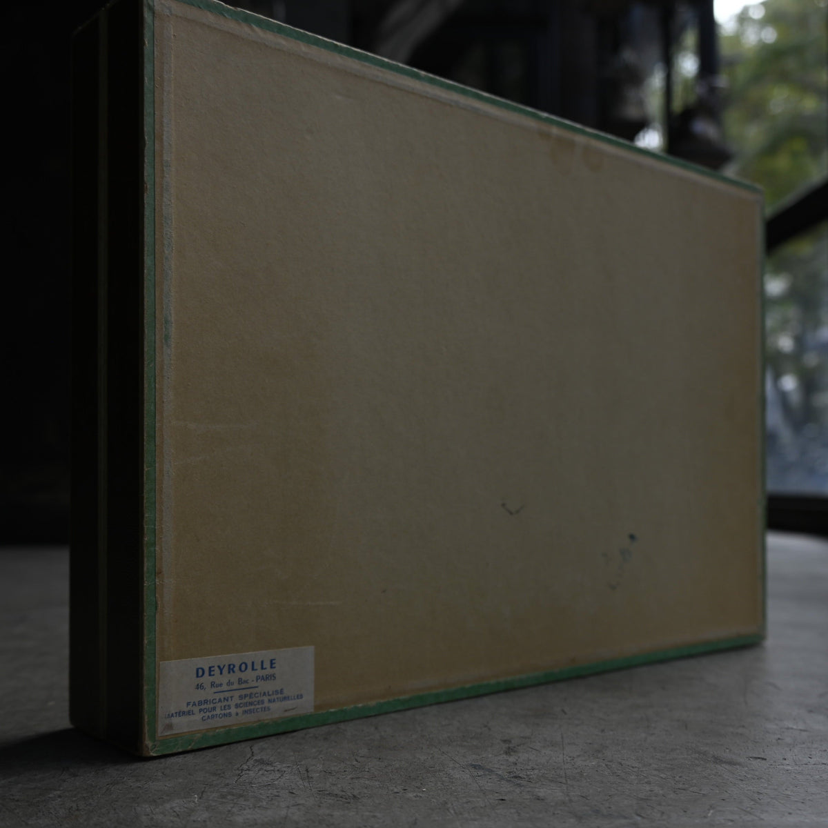 Cabinet de Curiosités"DEYROLLE"｛RB-00301｝