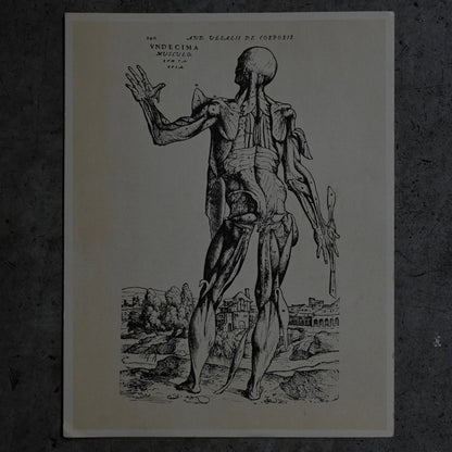 Medical advertisements Ⅰ｛RB-01110｝