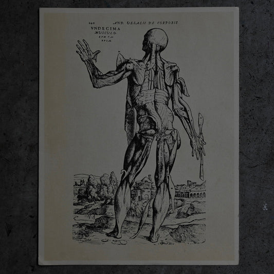 Medical advertisements Ⅰ｛RB-01110｝