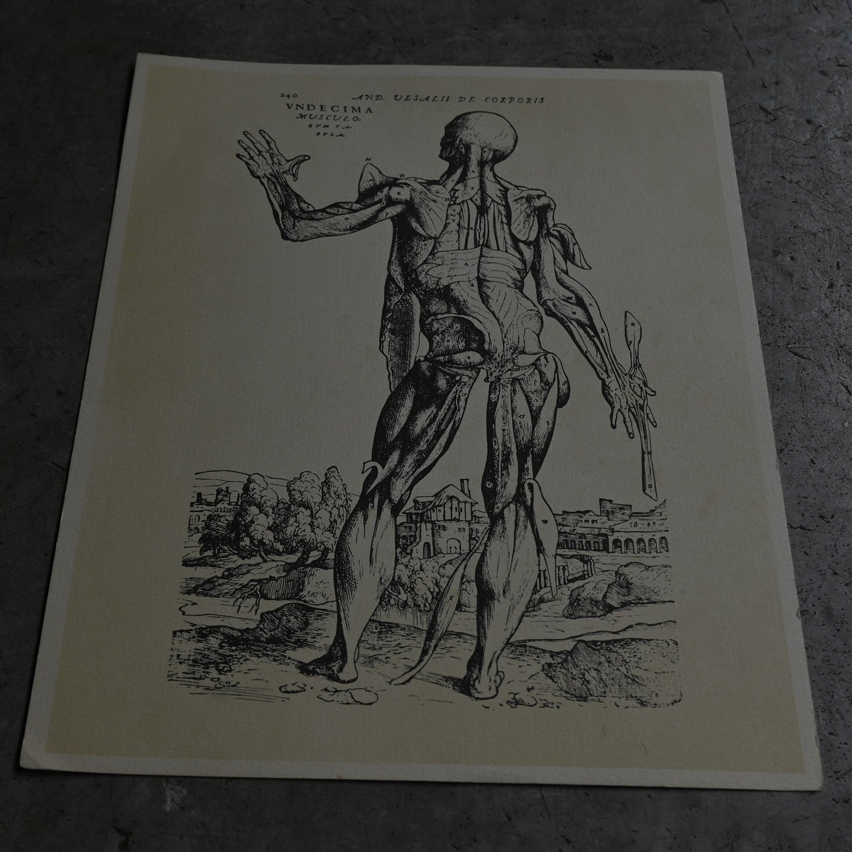 Medical advertisements Ⅰ｛RB-01110｝
