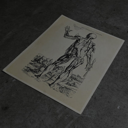 Medical advertisements Ⅰ｛RB-01110｝