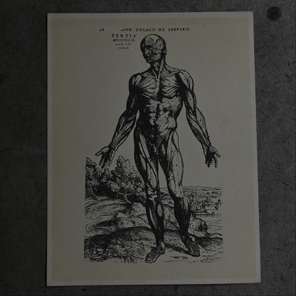 Medical advertisements Ⅱ｛RB-01111｝