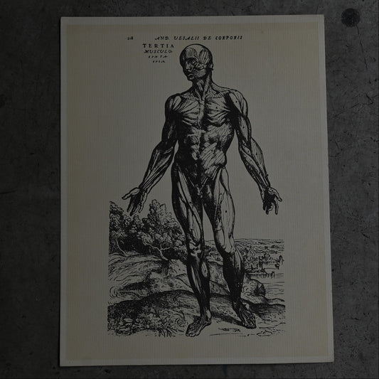 Medical advertisements Ⅱ｛RB-01111｝