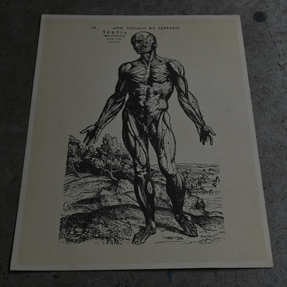 Medical advertisements Ⅱ｛RB-01111｝
