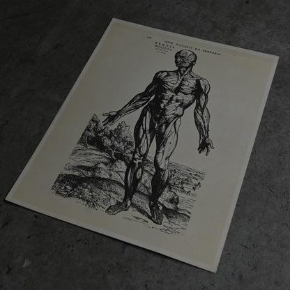 Medical advertisements Ⅱ｛RB-01111｝