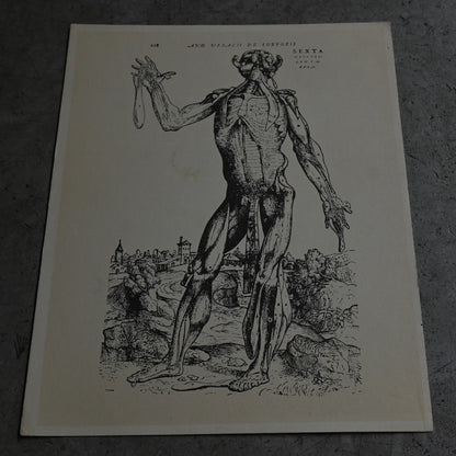 Medical advertisements Ⅲ｛RB-01112｝