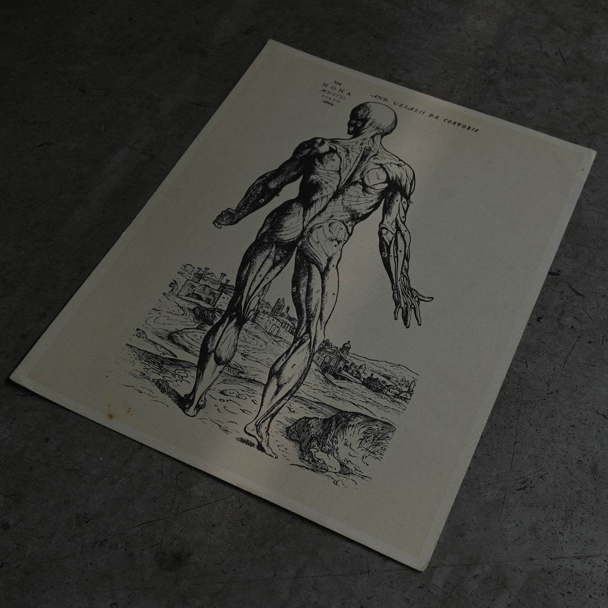 Medical advertisements Ⅴ｛RB-01114｝