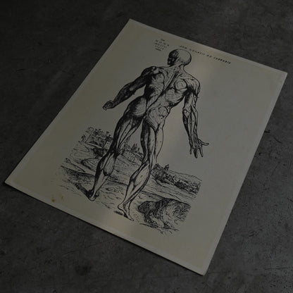 Medical advertisements Ⅴ｛RB-01114｝
