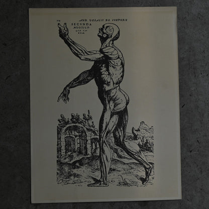 Medical advertisements Ⅵ｛RB-01115｝