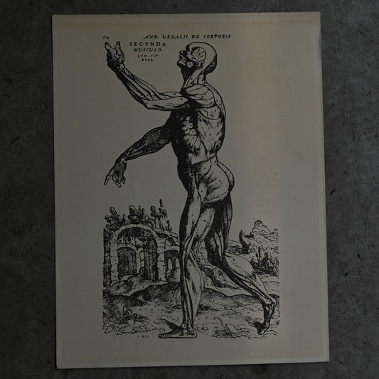 Medical advertisements Ⅵ｛RB-01115｝