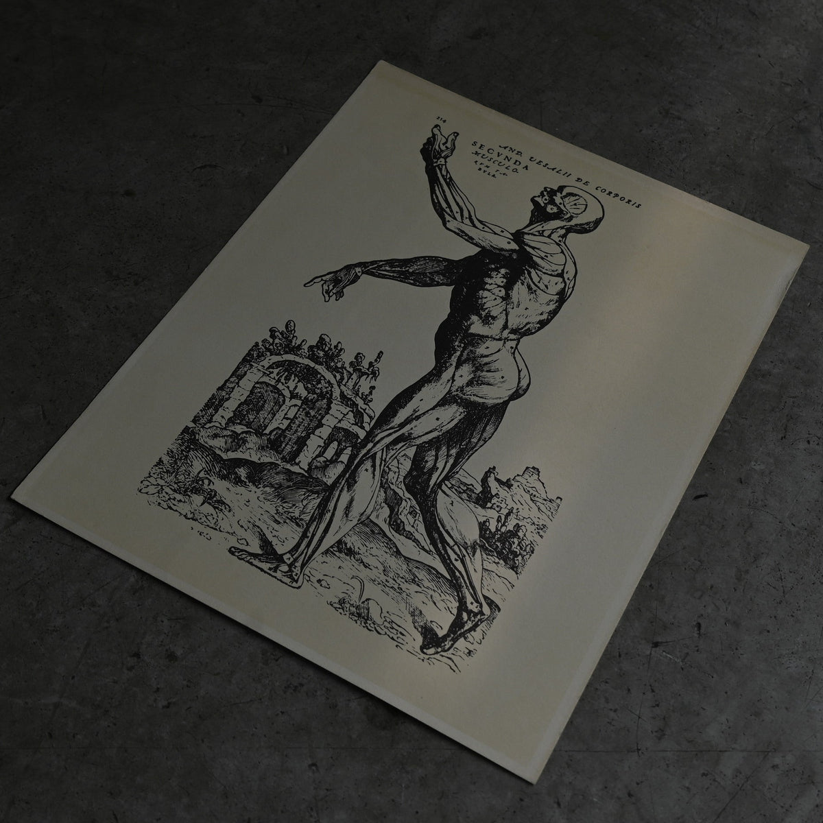 Medical advertisements Ⅵ｛RB-01115｝