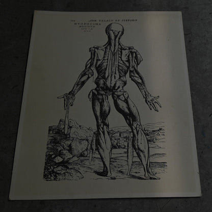Medical advertisements Ⅶ｛RB-01116｝