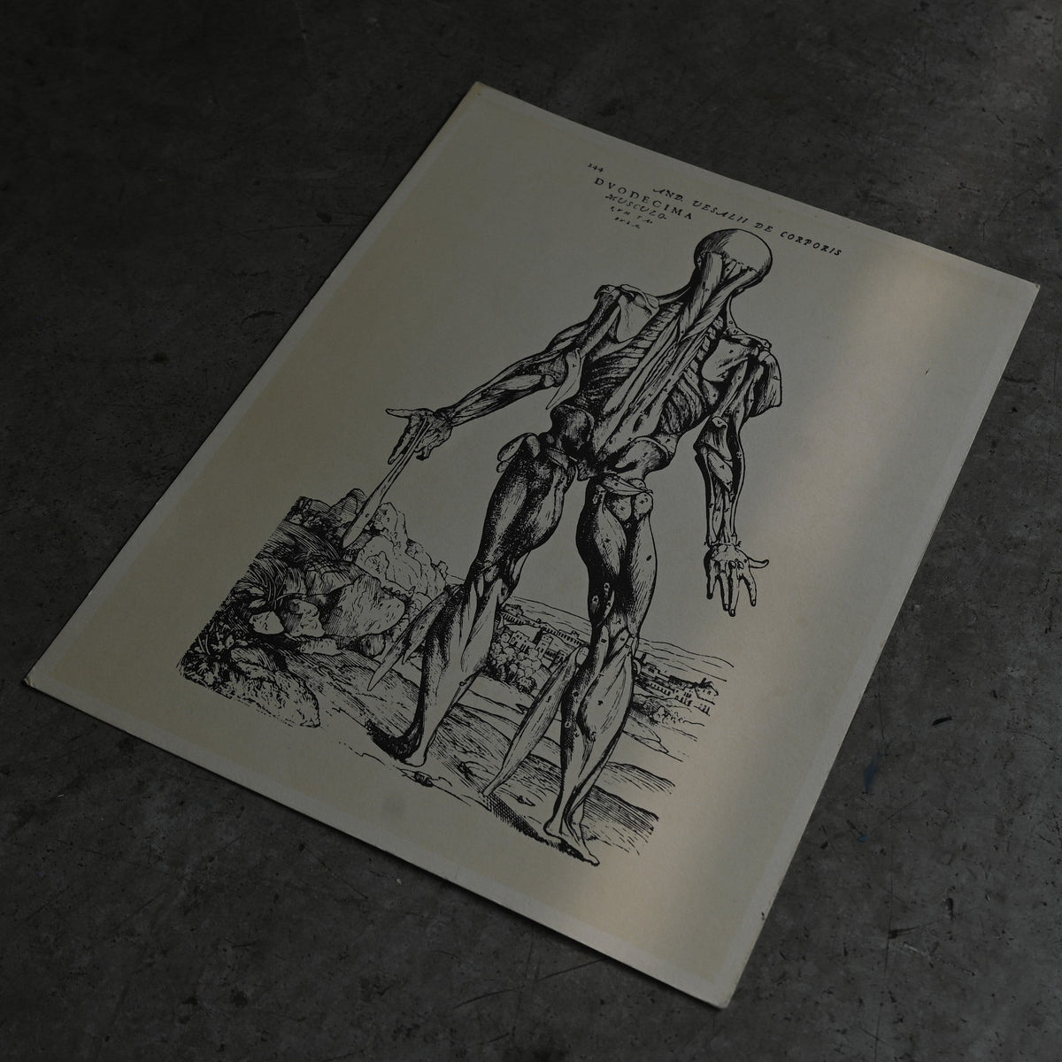 Medical advertisements Ⅶ｛RB-01116｝