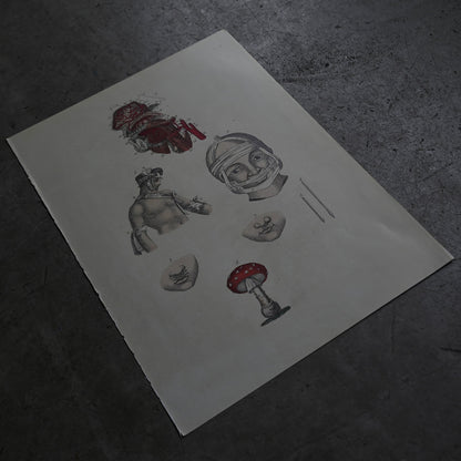 Anatomical Print  PI.38｛RB-01131｝
