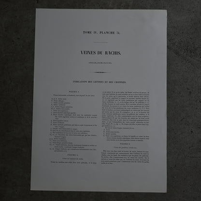 Encyclopedia of Human Anatomy P1-73｛RB-01102｝