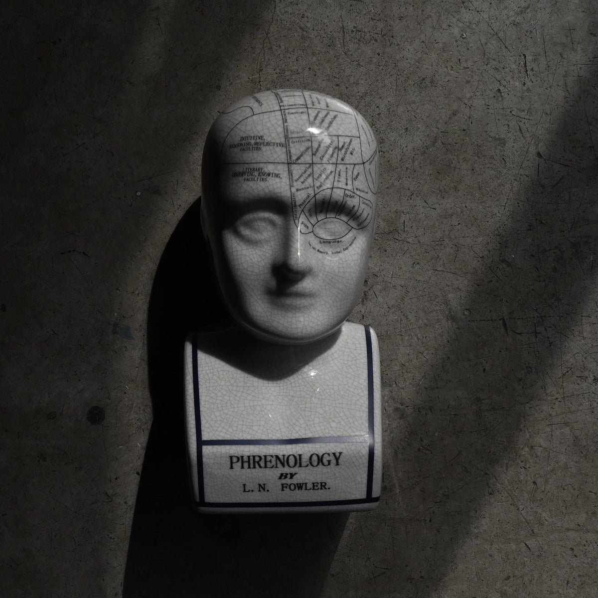 Phrenology Head（L） "L.N. Fowler"｛RB-01139｝