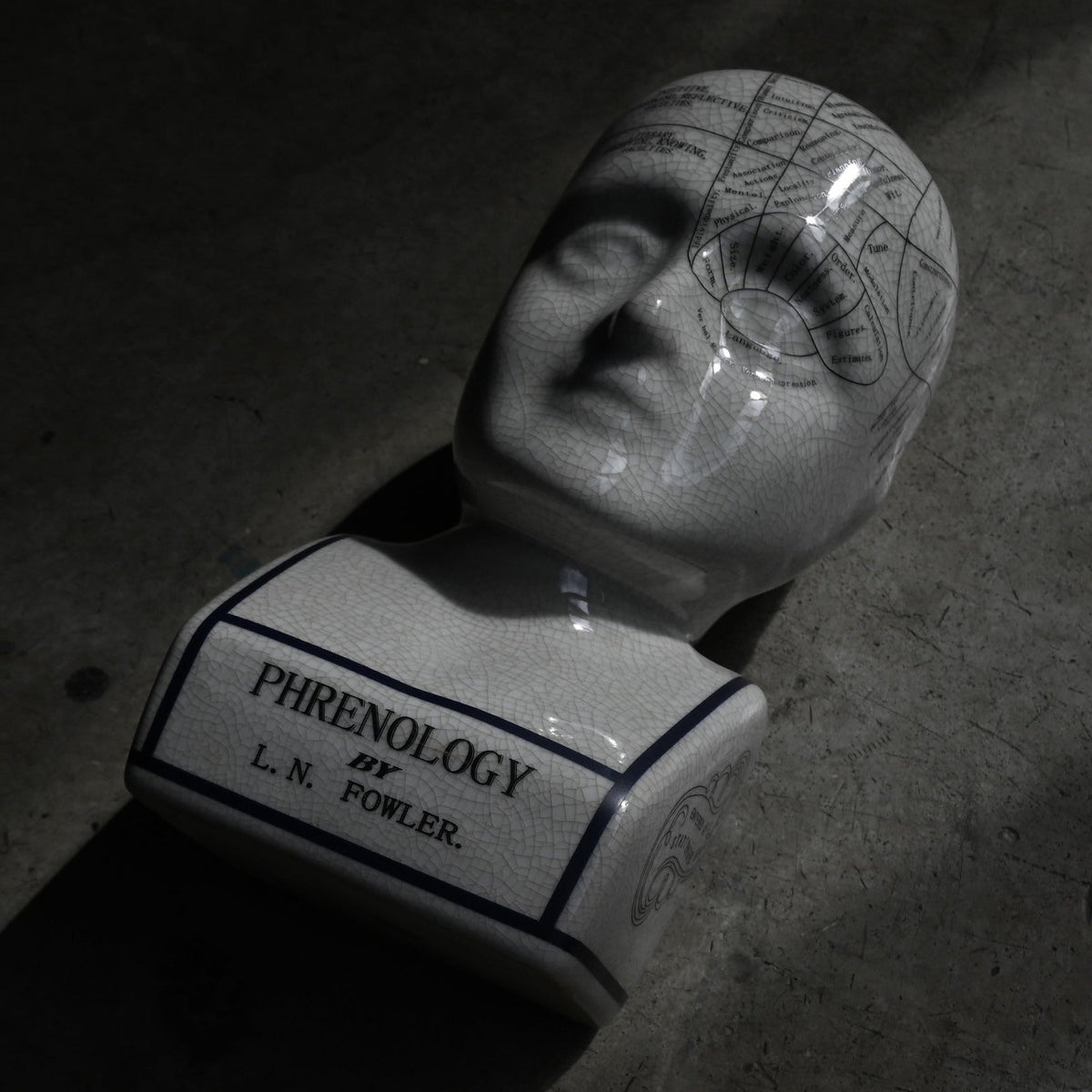 Phrenology Head（L） "L.N. Fowler"｛RB-01139｝