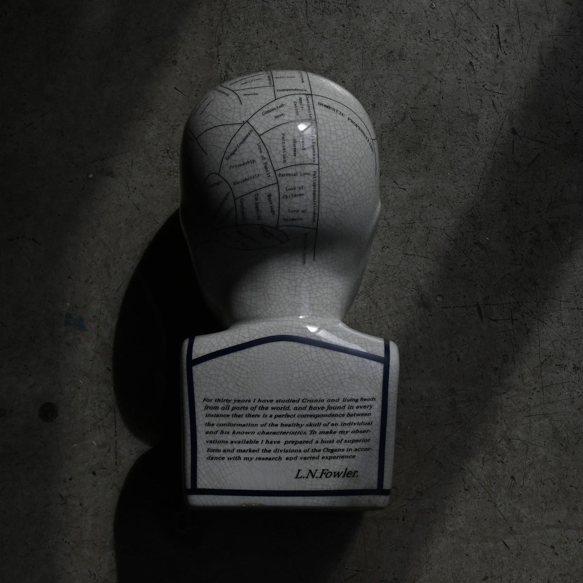 Phrenology Head（L） "L.N. Fowler"｛RB-01139｝
