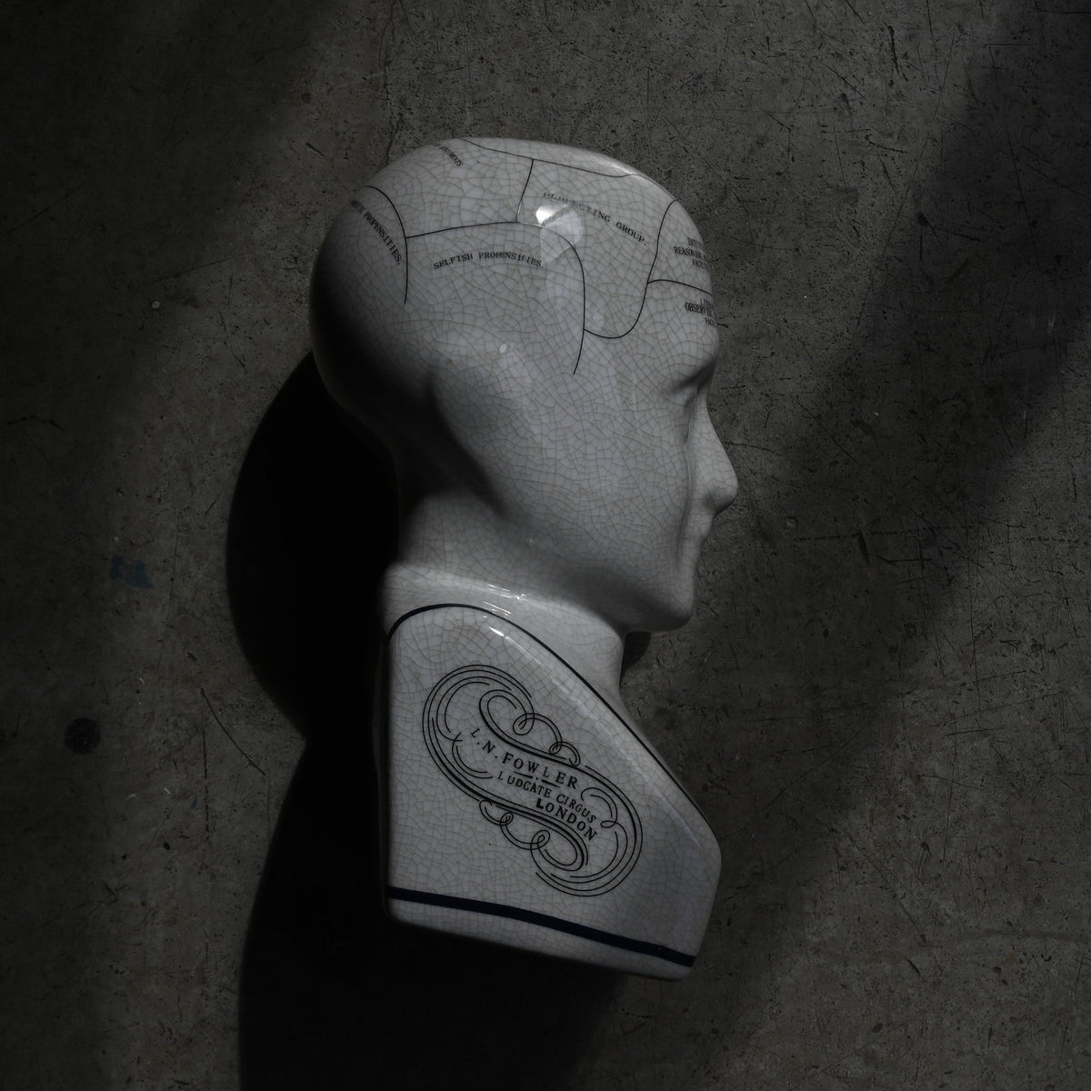 Phrenology Head（L） "L.N. Fowler"｛RB-01139｝