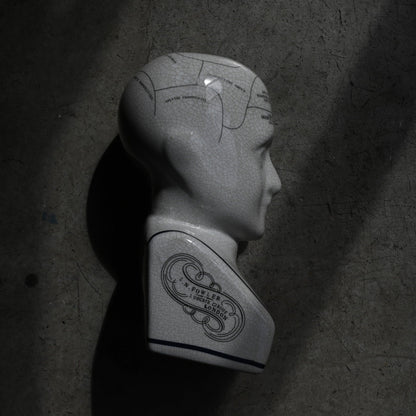 Phrenology Head（L） "L.N. Fowler"｛RB-01139｝