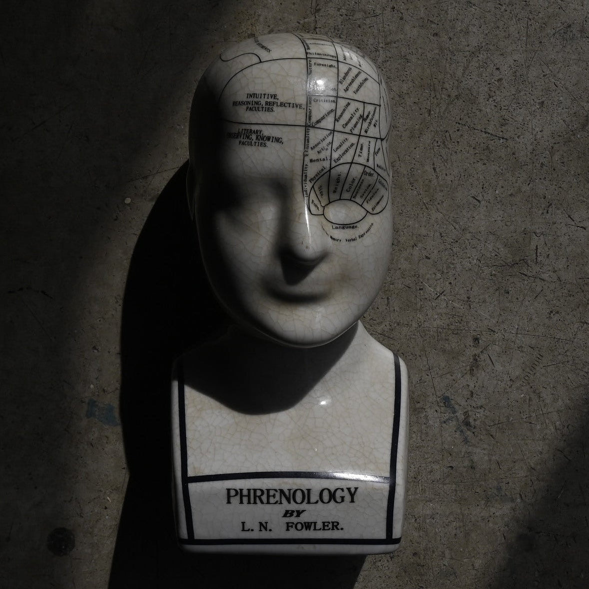 Phrenology Head（M） "L.N. Fowler"｛RB-01140｝