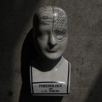 Phrenology Head（M） "L.N. Fowler"｛RB-01140｝