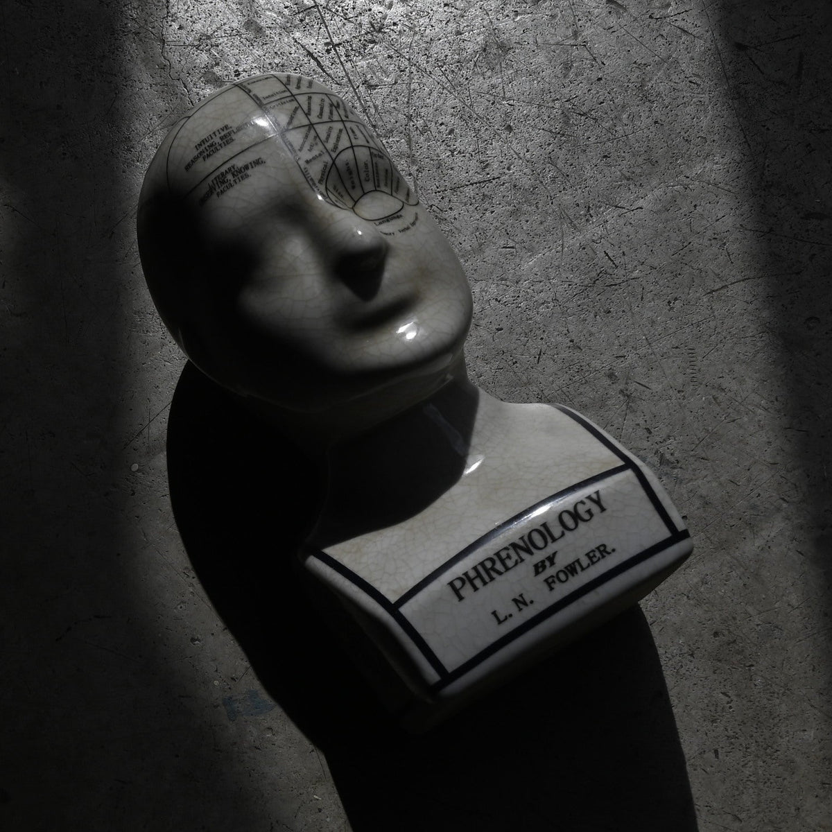 Phrenology Head（M） "L.N. Fowler"｛RB-01140｝