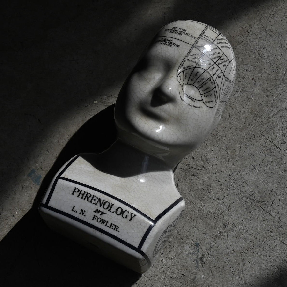 Phrenology Head（M） "L.N. Fowler"｛RB-01140｝