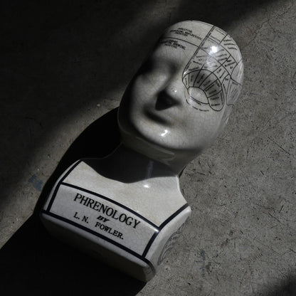 Phrenology Head（M） "L.N. Fowler"｛RB-01140｝