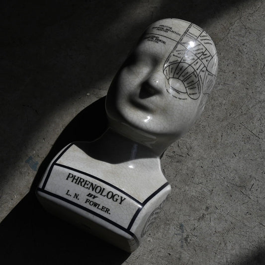 Phrenology Head（M） "L.N. Fowler"｛RB-01140｝