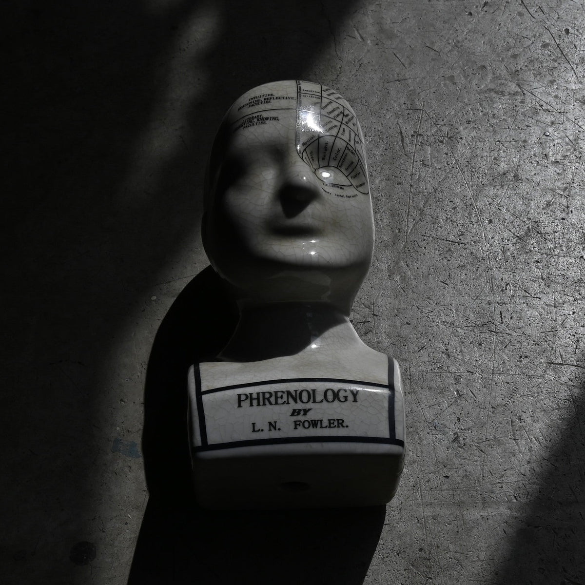 Phrenology Head（M） "L.N. Fowler"｛RB-01140｝