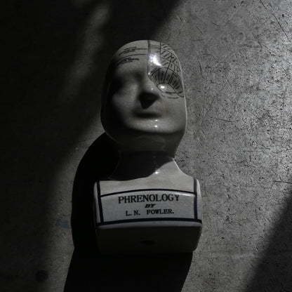 Phrenology Head（M） "L.N. Fowler"｛RB-01140｝