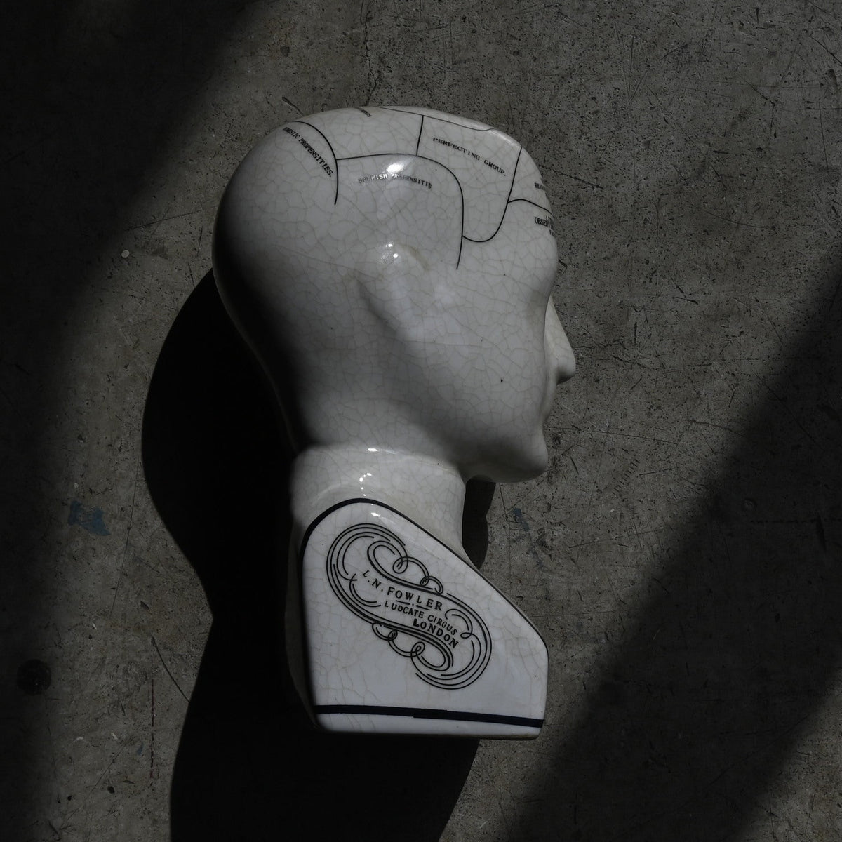 Phrenology Head（M） "L.N. Fowler"｛RB-01140｝
