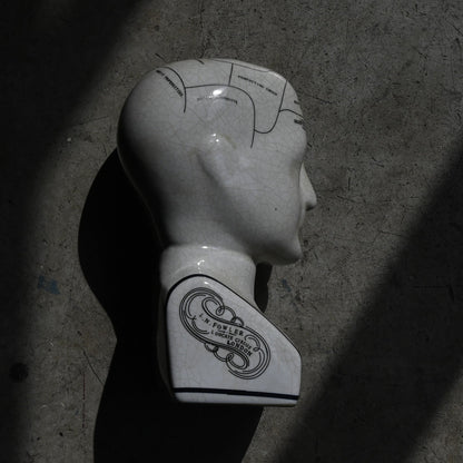 Phrenology Head（M） "L.N. Fowler"｛RB-01140｝