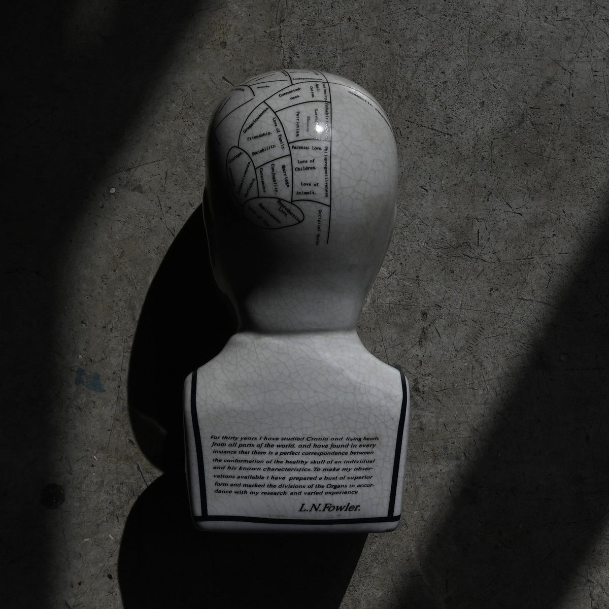Phrenology Head（M） "L.N. Fowler"｛RB-01140｝