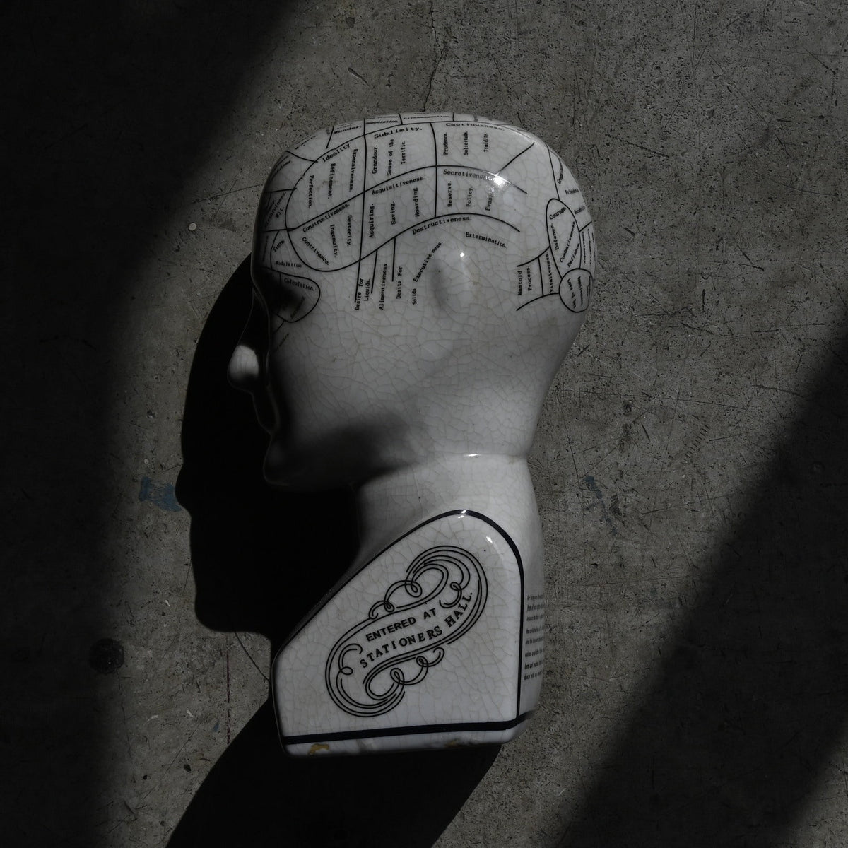 Phrenology Head（M） "L.N. Fowler"｛RB-01140｝