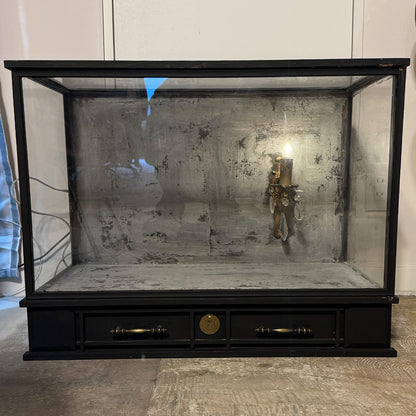 Glass Display Case Large｛F-00905｝