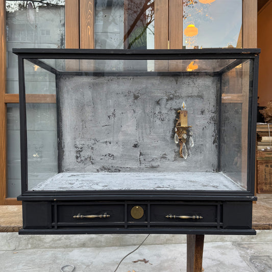 Glass Display Case Large｛F-00905｝